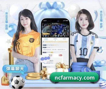 爱游戏官方网站的故事